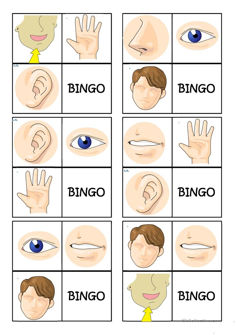 Body Parts Bingo - English Esl Powerpoints For Distance