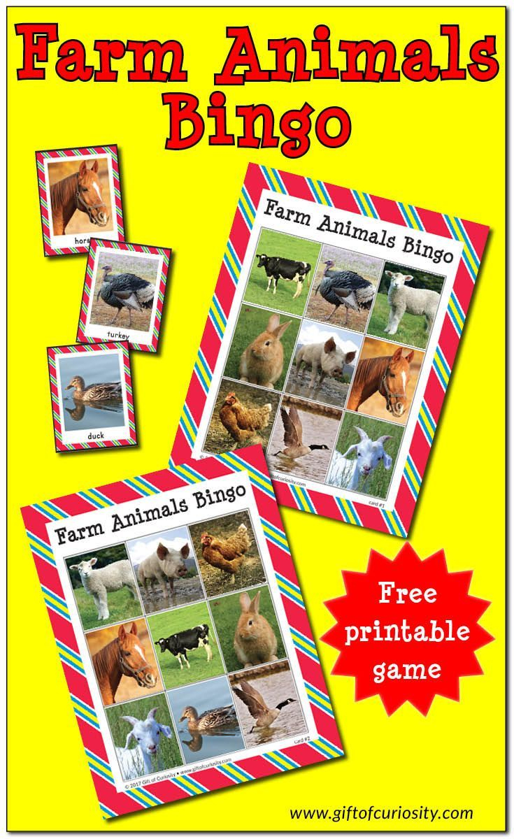 Farm Animals Bingo {Free Printable} | Farm Activities, Farm