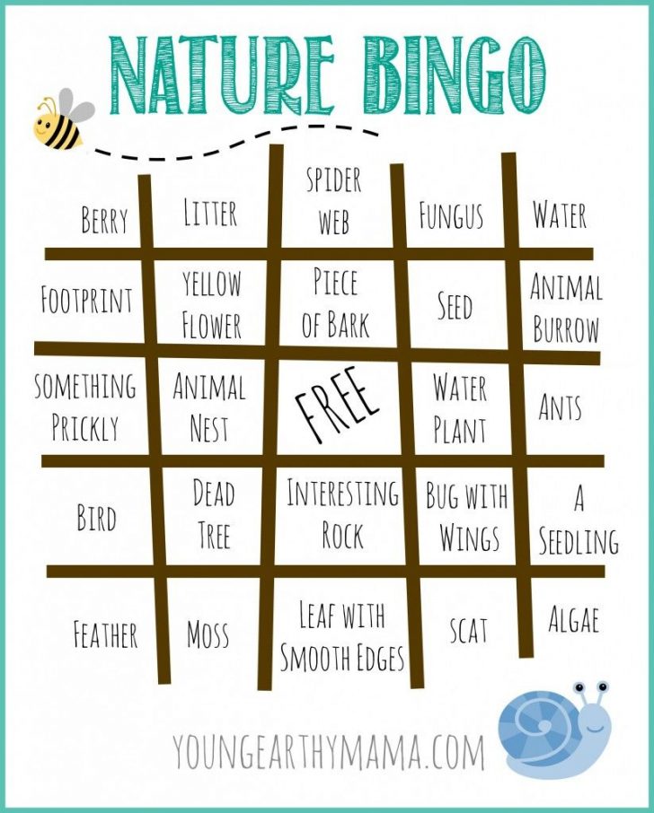 Free Printable Nature Scavenger Hunt Bingo Card