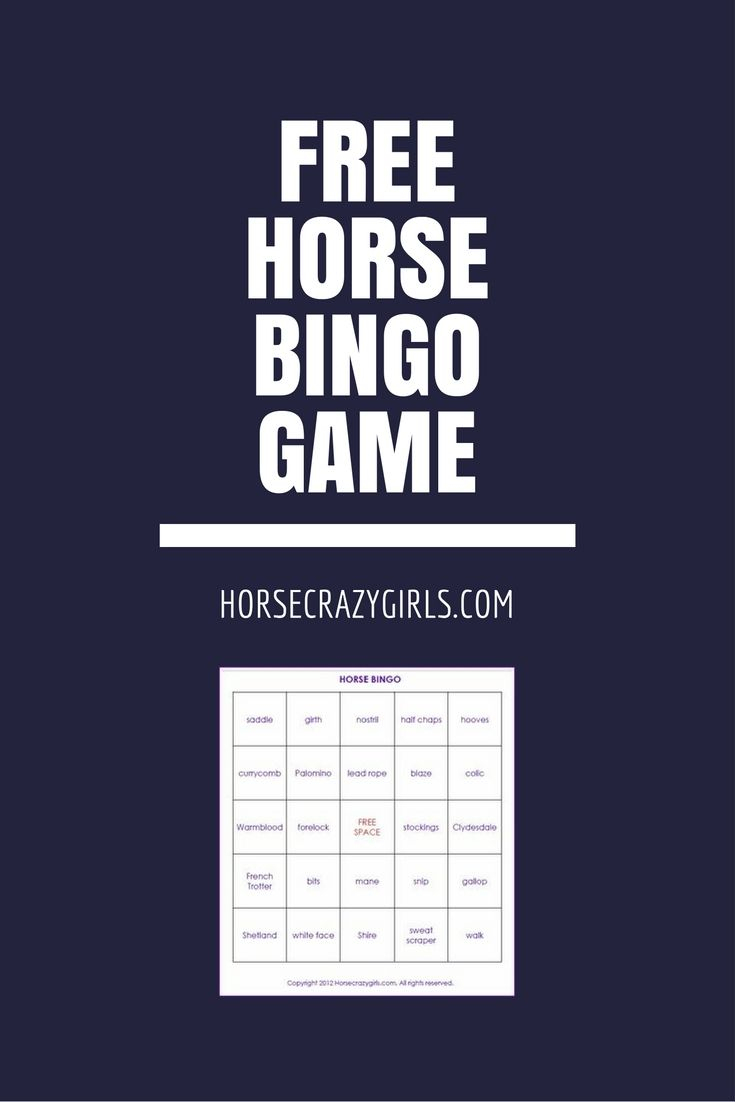 Horse Bingo Game | Horses, Horse Games, Camping Crafts