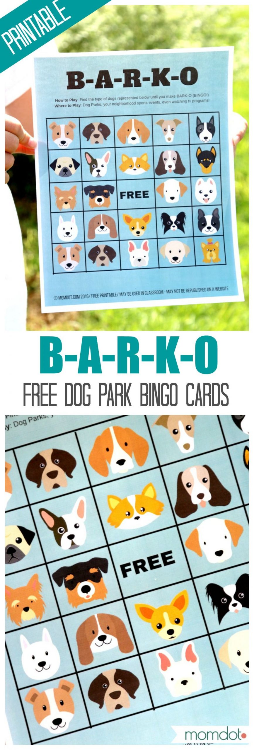 How To Start A Dog Park | Birthday Party Games For Kids, Dog