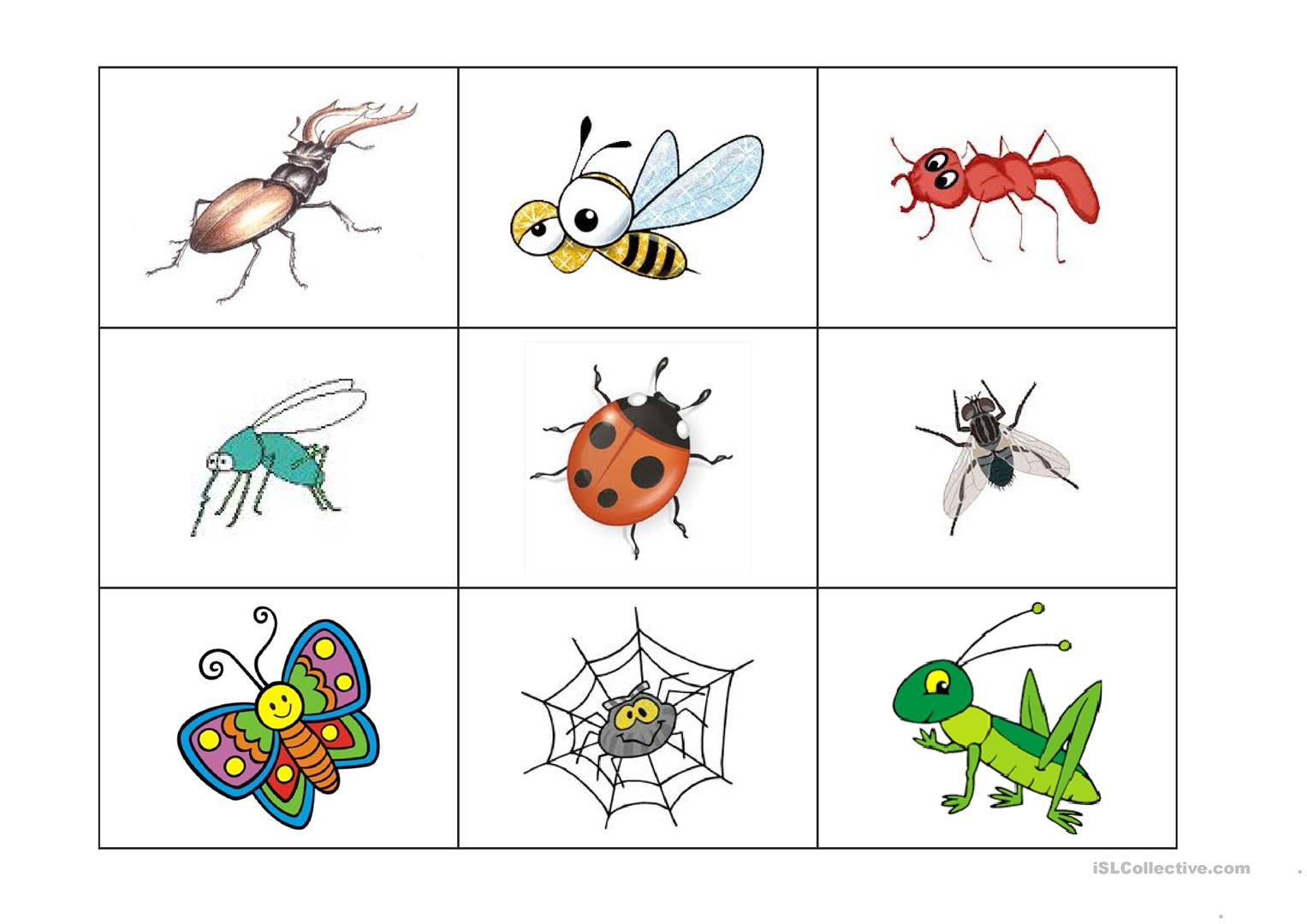 Insects Bingo Game - English Esl Worksheets For Distance