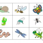 Insects Bingo Game   English Esl Worksheets For Distance