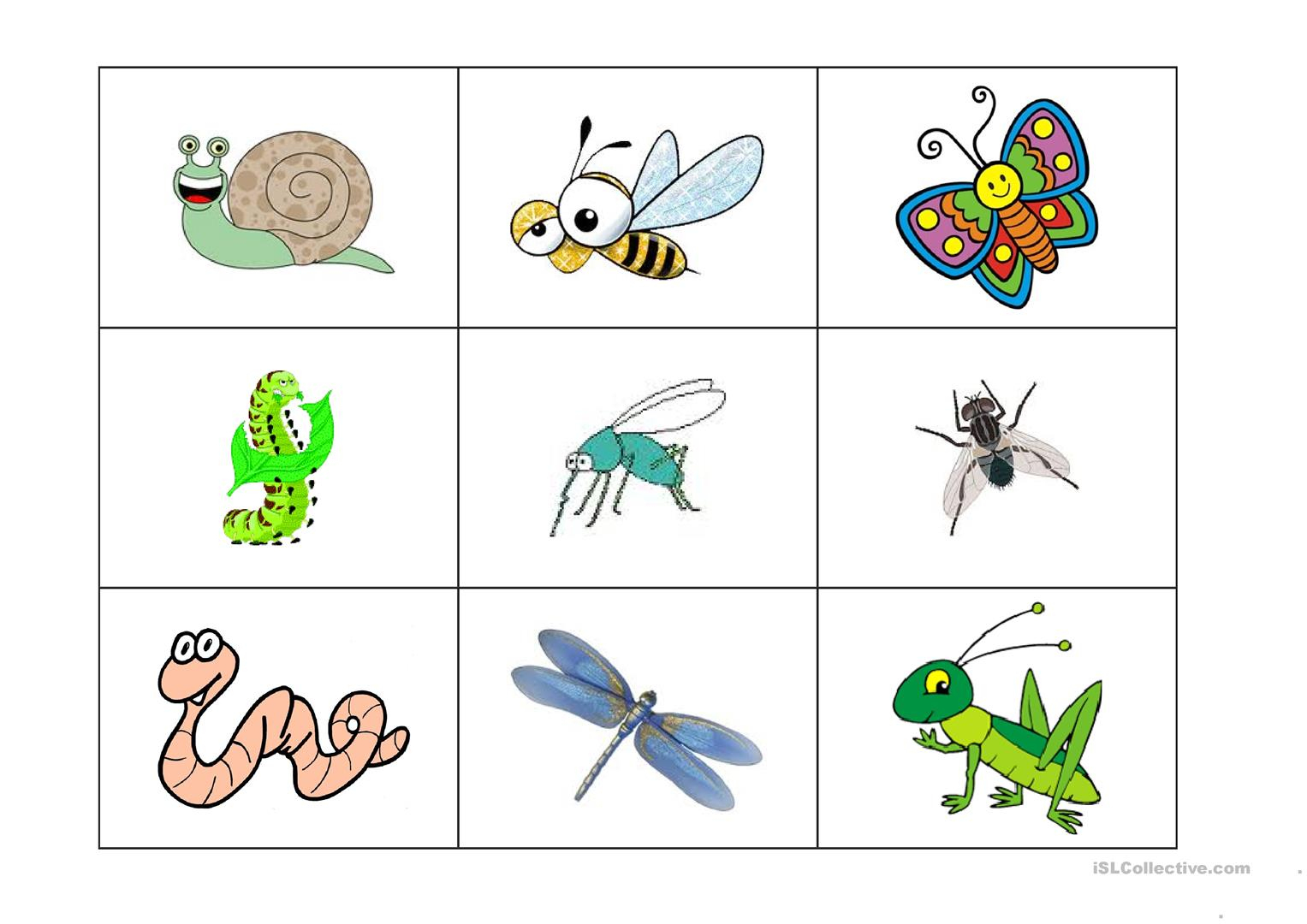 Insects Bingo Game - English Esl Worksheets For Distance