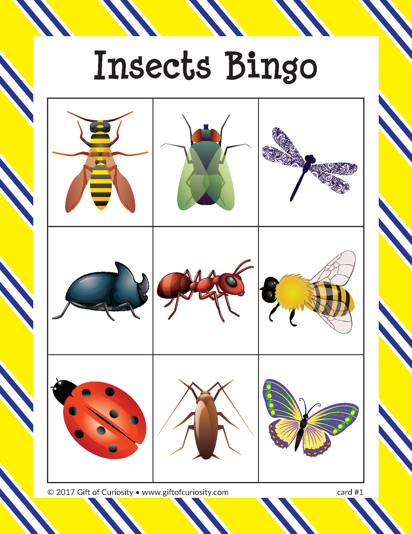 Insects Bingo | Insects, Bug Activities, Preschool Math Games