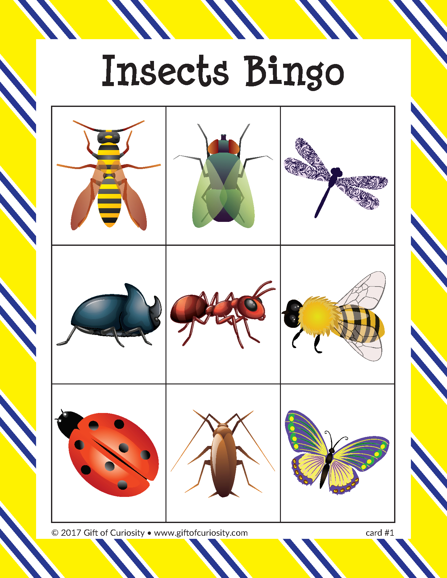 free-printable-bug-bingo-cards-printable-bingo-cards