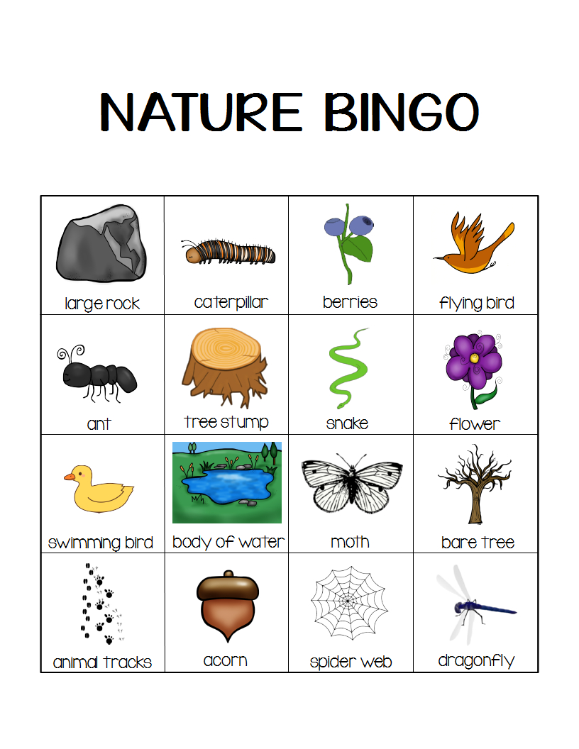 Nature Bingo Printable Activity - Take A Hike With Your Kids