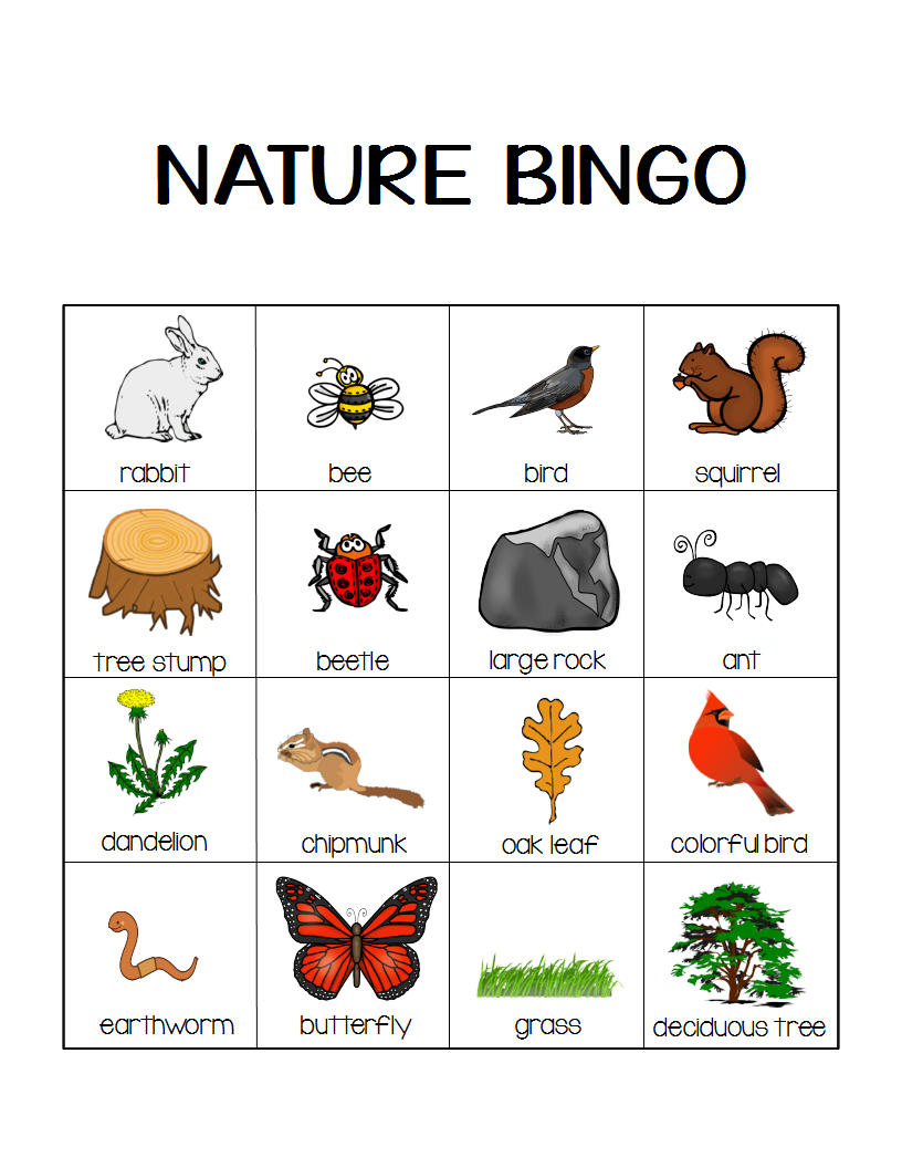 Nature Bingo Printable Activity - Take A Hike With Your Kids