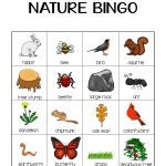 Nature Bingo Printable Activity   Take A Hike With Your Kids