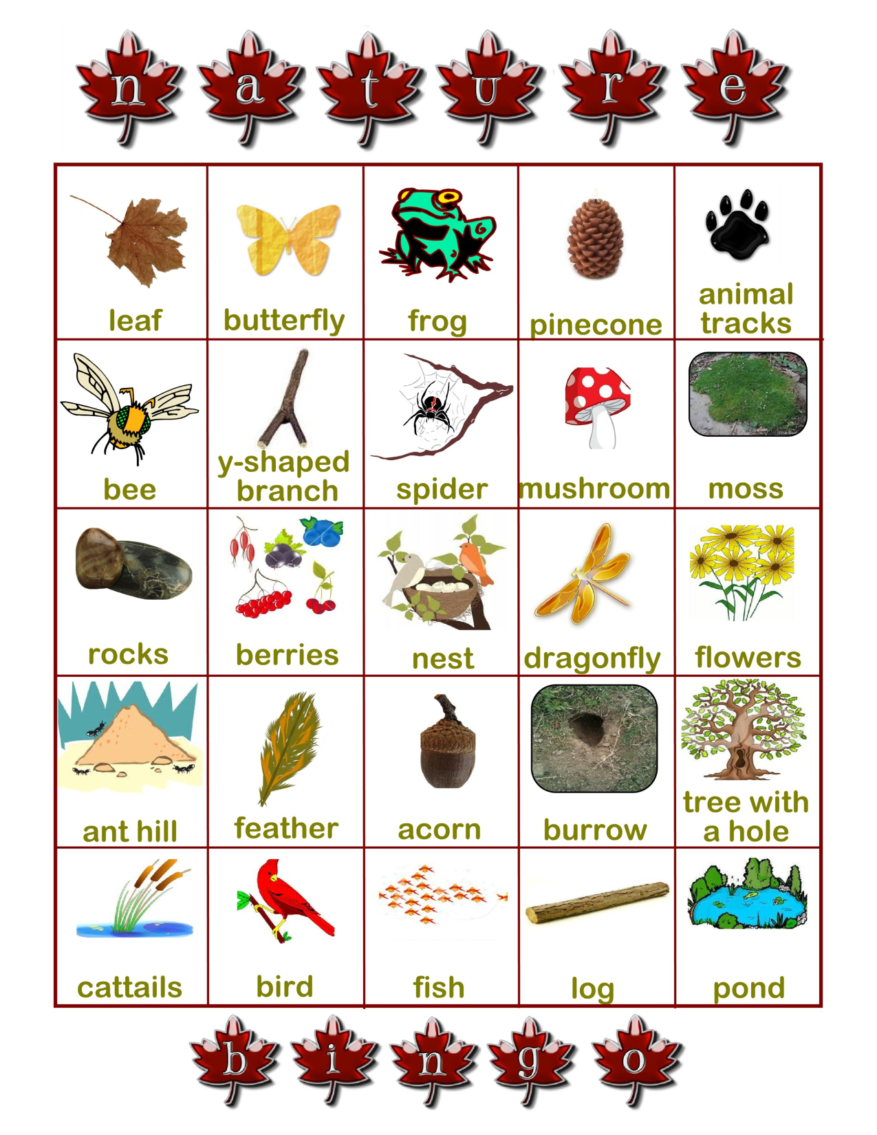 nature hunt bingo