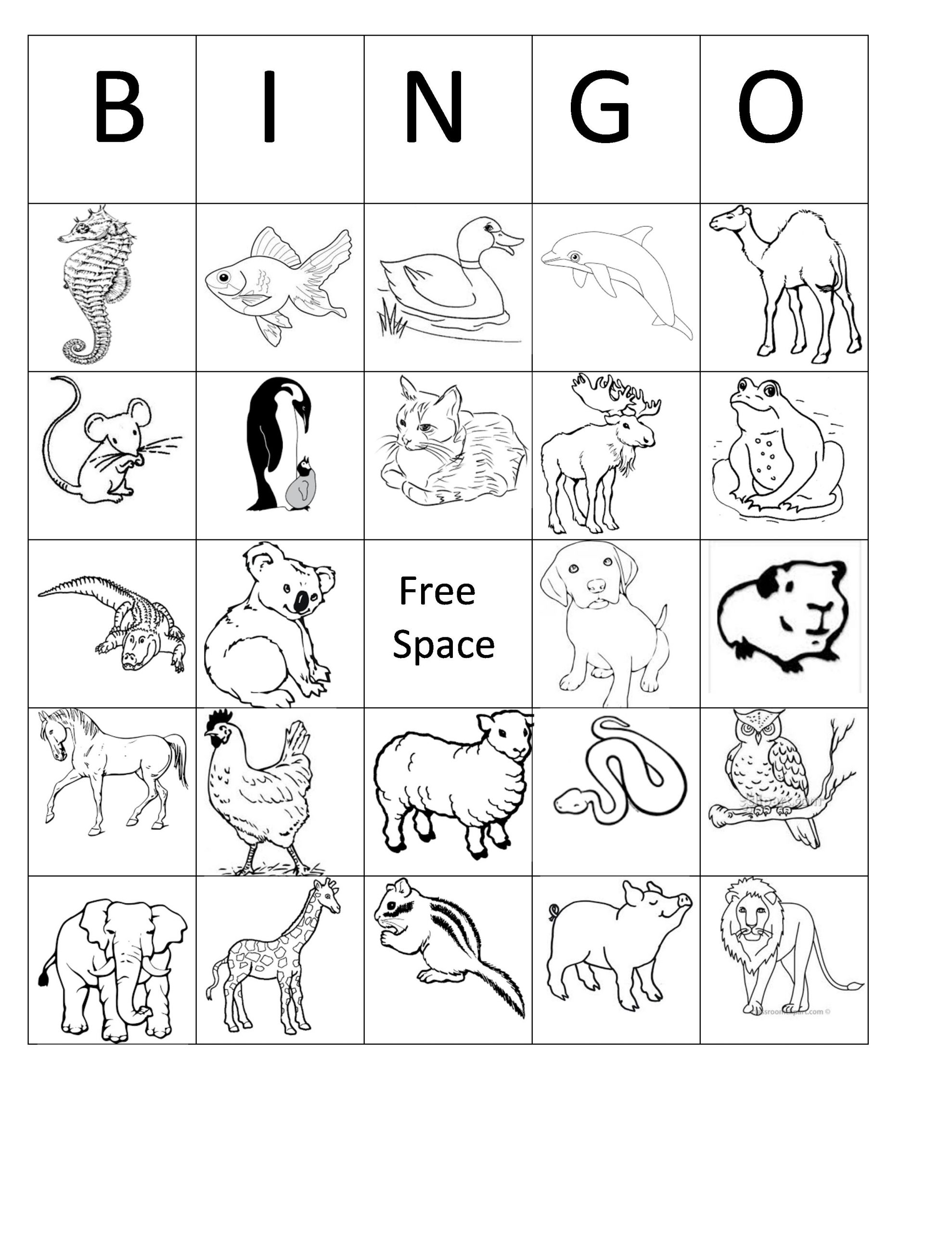 Printable Animal Bingo Card 3 Black And White Coloring Sheet