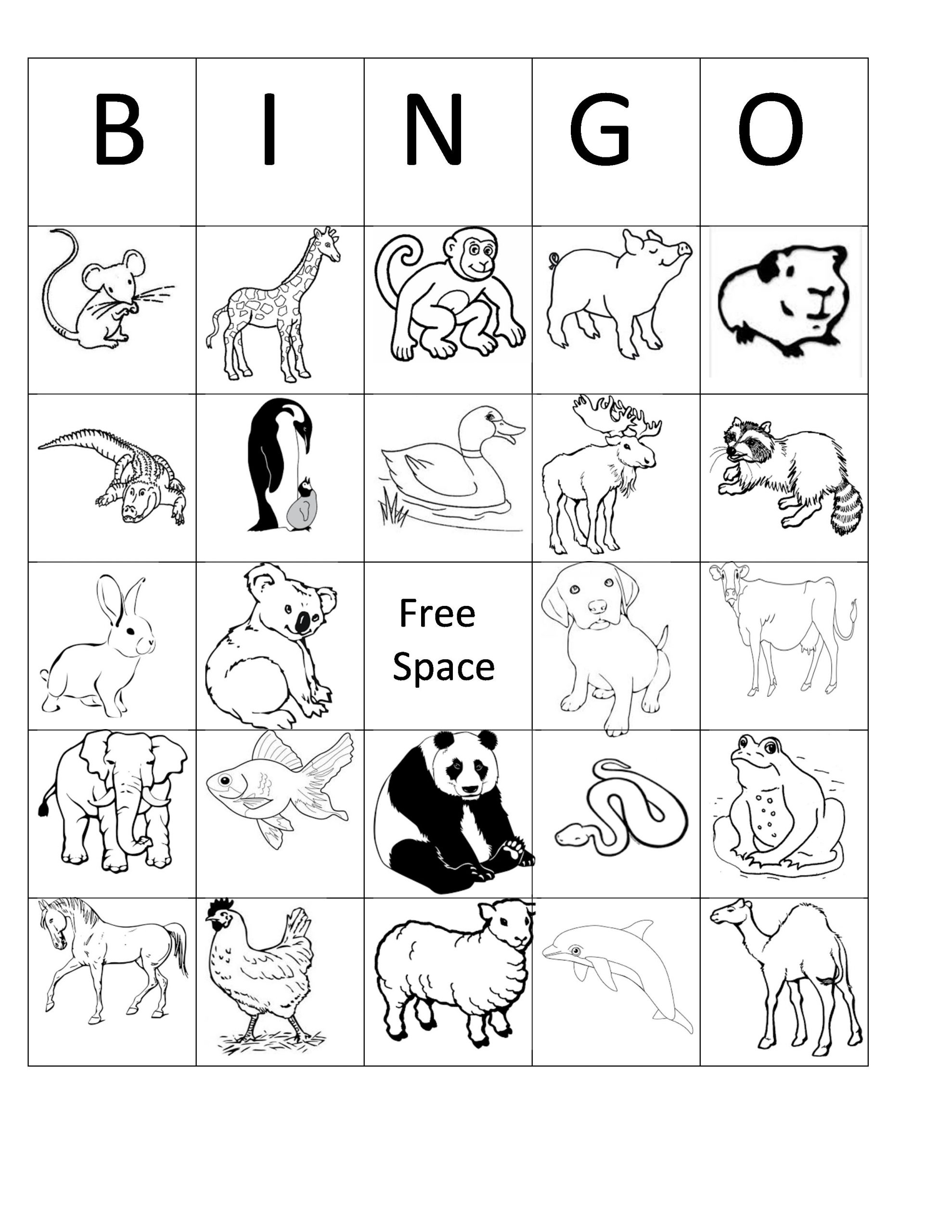 Printable Animal Bingo Card 7 Black And White Coloring Sheet