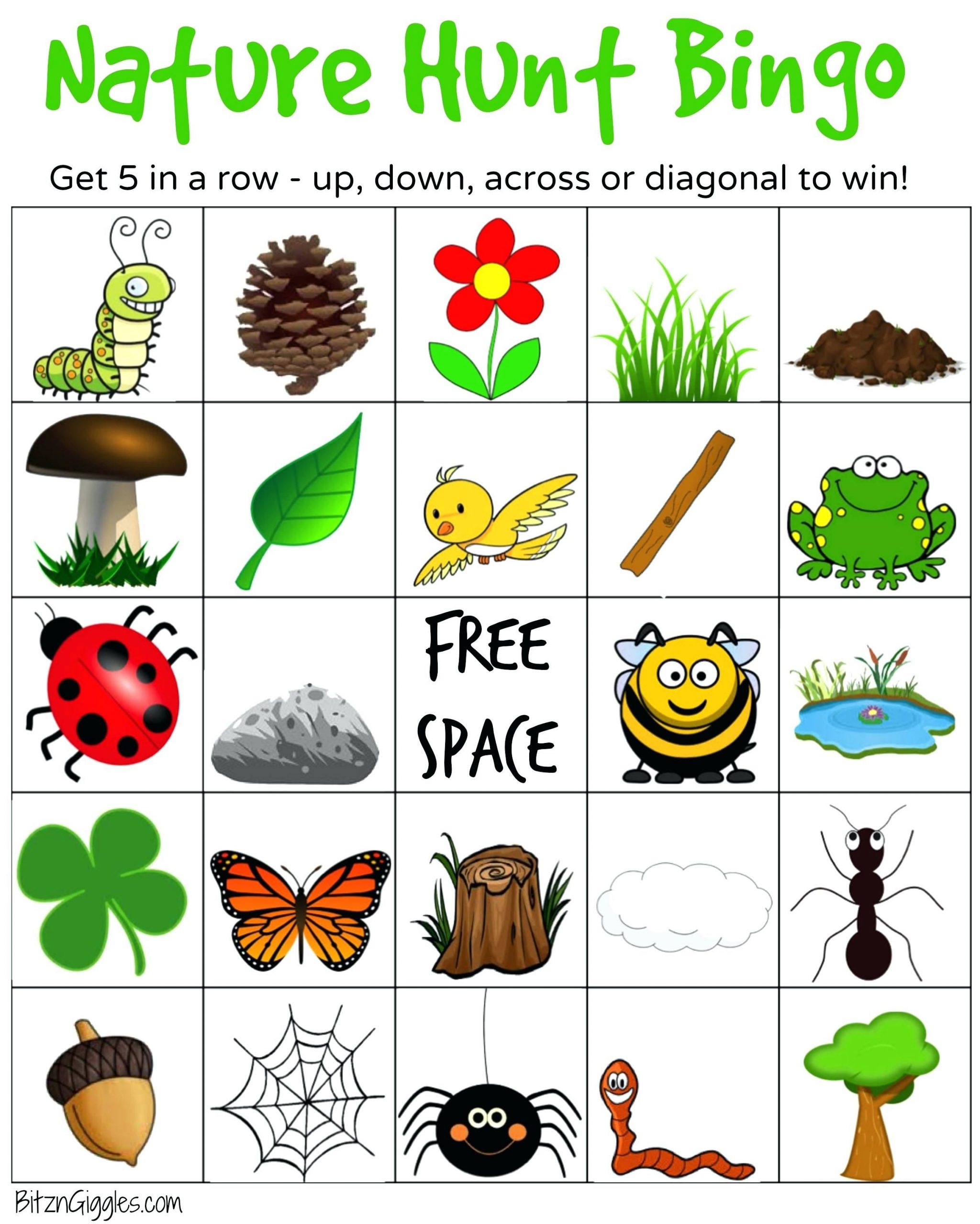 nature bingo cards printable