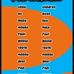 Singular And Plural Nouns: Definitions, Rules & Examples