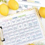 Spring Cleaning Printables For The Whole Family
