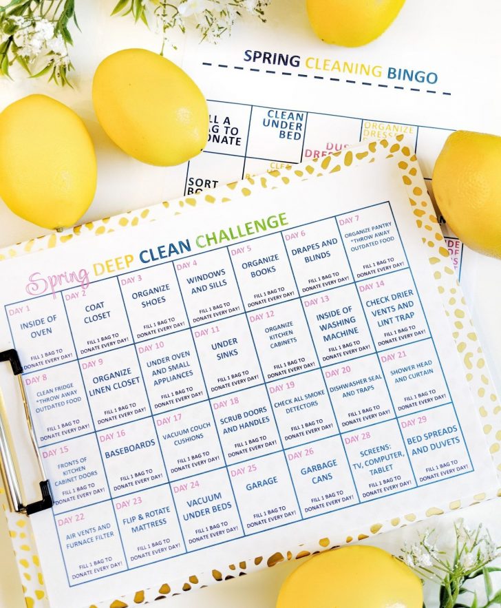 Printable Spring Cleaning Bingo Cards